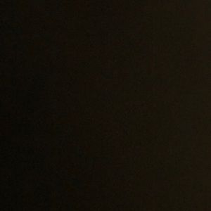 Meet your Posher, Sophia